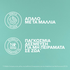 WELLA VOLUME BODIFYING SHAMPOO | 300ml