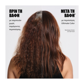 ULTIMATE COLOR CONDITIONER | 30ml