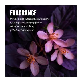 ULTIMATE COLOR SPRAY | 95ml