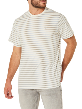 ΑΝΔΡΙΚΟ T-SHIRT ΜΕ ΡΙΓΕ ΜΟΤΙΒΟ | Ριγέ  M