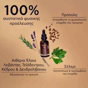 DANDRUFF RELIEF ΛΑΔΙ ΚΑΤΑ ΤΗΣ ΞΗΡΟΔΕΡΜΙΑΣ ΚΑΙ ΤΗΣ ΠΙΤΥΡΙΔΑΣ ΜΕ ΣΕΛΕΡΙ, ΠΡΟΠΟΛΗ ΚΑΙ ΑΙΘΕΡΙΑ ΕΛΑΙΑ | 50ml