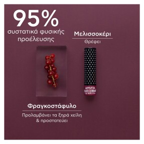 LIP CARE ΜΕ ΦΡΑΓΚΟΣΤΑΦΥΛΛΟ | 4,4gr Black Currant