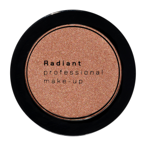 BLUSH COLOR | 113 Winter Plum