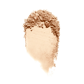 WATER-RESISTANT PROTECTIVE POWDER SPF25 | 9,8gr 490-Pure Canvas