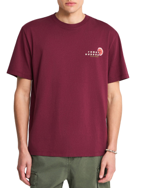 ΑΝΔΡΙΚΟ T-SHIRT | Μπορντό XL
