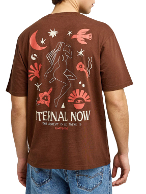 ΑΝΔΡΙΚΟ T-SHIRT | Καφέ XL