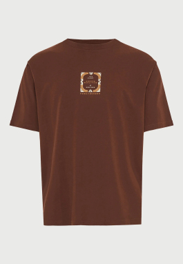 ΑΝΔΡΙΚΟ T-SHIRT | Καφέ XL