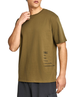 ΑΝΔΡΙΚΟ T-SHIRT | Λαδί XL