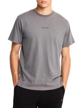 ΑΝΔΡΙΚΟ T-SHIRT | Γκρι L