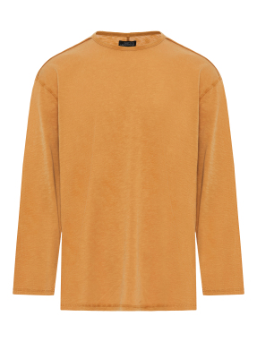 ΑΝΔΡΙΚΗ ΜΠΛΟΥΖΑ | Ώχρα L