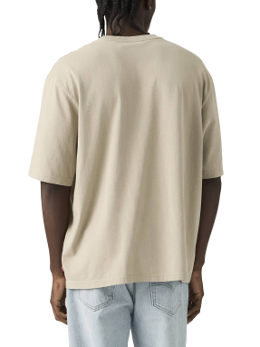 ΑΝΔΡΙΚΟ T-SHIRT | Μπεζ S