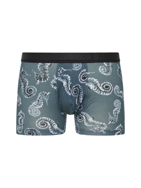 ΑΝΔΡΙΚΟ ΕΣΩΡΟΥΧΟ BOXER | Μπλε Ανοιχτό XL
