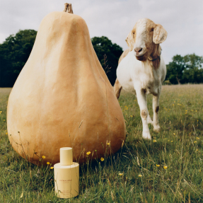 VELVETY BUTTERNUT COLOGNE​ | 30ml