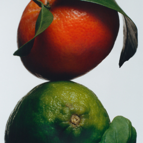 LIME BASIL & MANDARIN CAR DIFFUSER REFILL