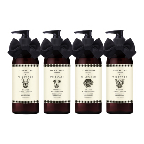 ORANGE & CEDARWOOD DOG SHAMPOO – WILDWASH EDITION | 285ml