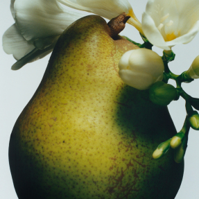 ENGLISH PEAR SET | SET