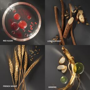 INTENSIVE SERUM RADIANCE PRIMER SPF25 PA++ | 40ml