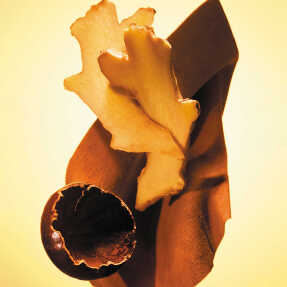 BOSS THE SCENT EAU DE TOILETTE | 50ml