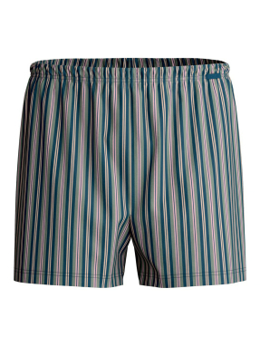 ΑΝΔΡΙΚΟ ΕΣΩΡΟΥΧΟ BOXER | Ριγέ  L