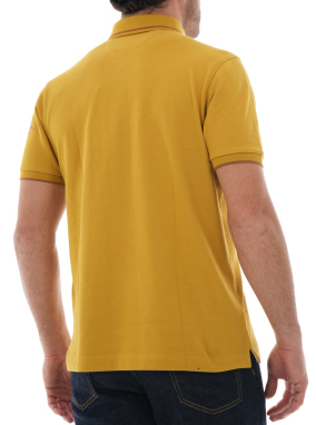 ΑΝΔΡΙΚΗ POLO ΜΠΛΟΥΖΑ | Κίτρινο XXL