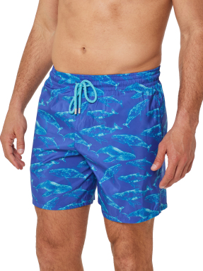 ΑΝΔΡΙΚΟ ΜΑΓΙΟ | Μπλε M