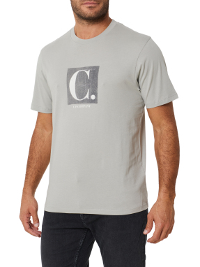 ΑΝΔΡΙΚΟ T-SHIRT | Γκρι XL