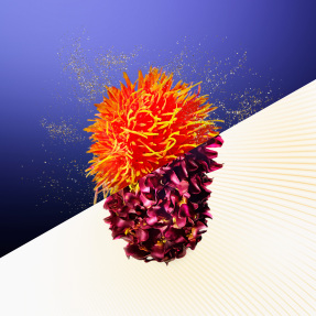 VITAL PERFECTION CONCENTRATED SUPREME CREAM REFILL | 50ml