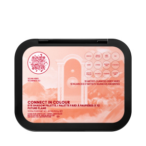 CONNECT IN COLOUR EYE SHADOW PALETTE: FUTURE FLAME