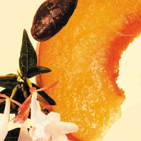 BOSS THE SCENT FOR HER EAU DE PARFUM | 30ml