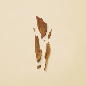 GUCCI GUILTY ABSOLUTE FEMME EAU DE PARFUM | 30ml