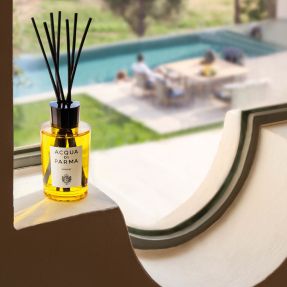 INSIEME DIFFUSER | 180ml