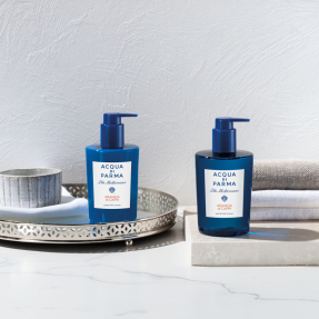 ARANCIA DI CAPRI HAND WASH | 300ml