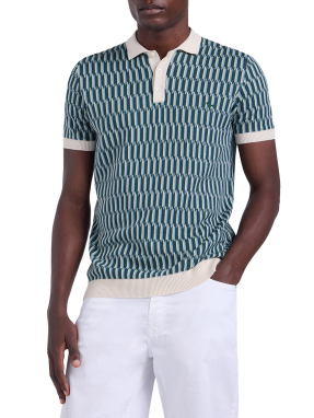 ΑΝΔΡΙΚΗ POLO ΜΠΛΟΥΖΑ | Πολύχρωμο XL
