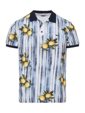 ΑΝΔΡΙΚΗ POLO ΜΠΛΟΥΖΑ | Πολύχρωμο XL