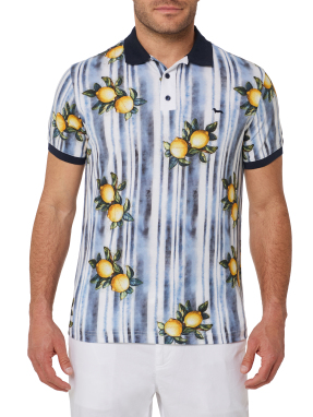 ΑΝΔΡΙΚΗ POLO ΜΠΛΟΥΖΑ | Πολύχρωμο XL