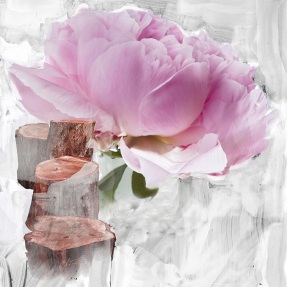 BLANCHE BODY WASH | 450ml