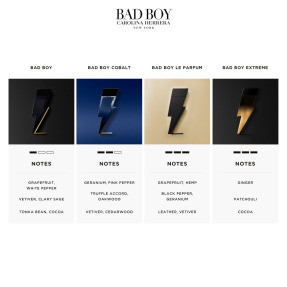 BAD BOY COBALT EAU DE PARFUM | 100ml