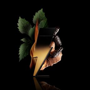 BAD BOY EXTREME EAU DE PARFUM | 50ml