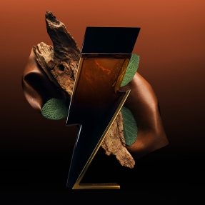 BAD BOY ELIXIR EAU DE PARFUM ELIXIR | 50ml