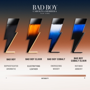 BAD BOY ELIXIR EAU DE PARFUM ELIXIR | 50ml