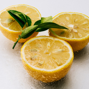 LOEWE AGUA MAR DE CORAL EAU DE TOILETTE | 50ml