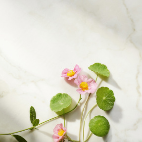 THE RITUAL OF NAMASTE AGELESS FIRMING NIGHT CREAM REFILL | 50ml