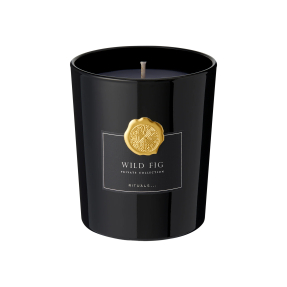 WILD FIG SCENTED CANDLE | 360gr