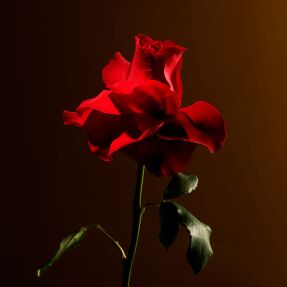 IMPERIAL ROSE CANDLE