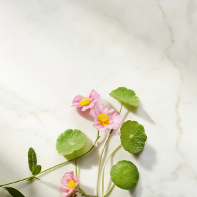 THE RITUAL OF NAMASTE AGELESS FIRMING NIGHT CREAM | 50ml