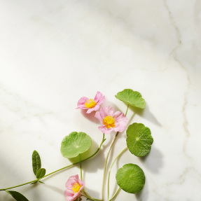 THE RITUAL OF NAMASTE AGELESS FIRMING SERUM REFILL | 30ml