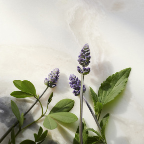 THE RITUAL OF NAMASTE GLOW ANTI-AGEING NIGHT CREAM | 50ml