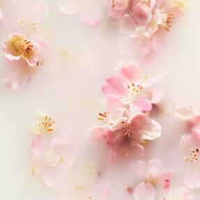 THE RITUAL OF SAKURA HAND BALM | 70ml