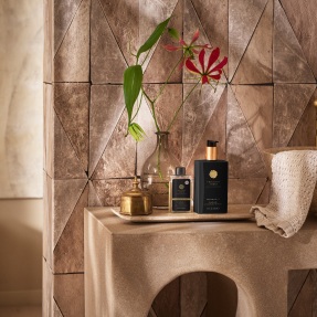 PRECIOUS AMBER HAND WASH CONCENTRATED REFILLl | 100ml