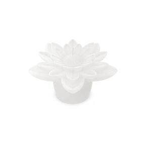 THE RITUAL OF SESHEN FLOATING CANDLE